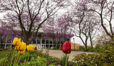 Burling Library