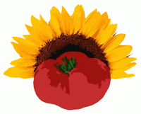 College garden symbol with sunflower and tomato