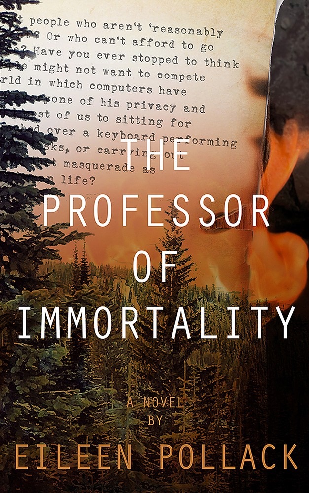 Book Cover image of The Professor of Immortality, novel by Eileen Pollack