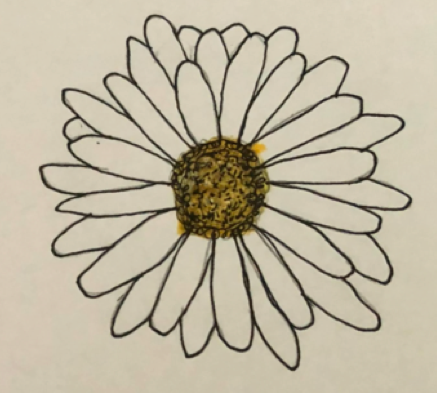 Drawing of a flower