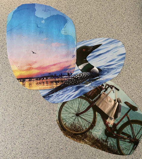 Images collected from a magazine including a sunset duck and bicycle