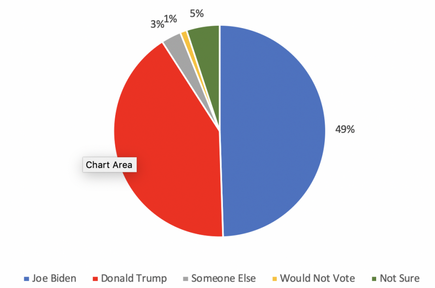 Pie chart shows 49% support Biden, 41% support Trump, 3% support someone else, 1% would not vote, and 5% are not sure