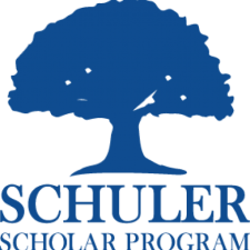 Schuler logo