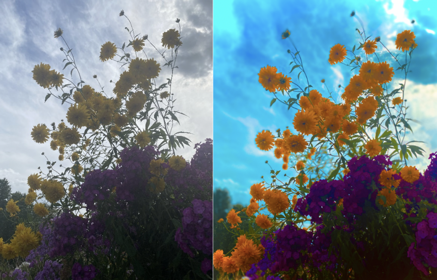 side by side of original and color-enhanced versions of an image of flowers