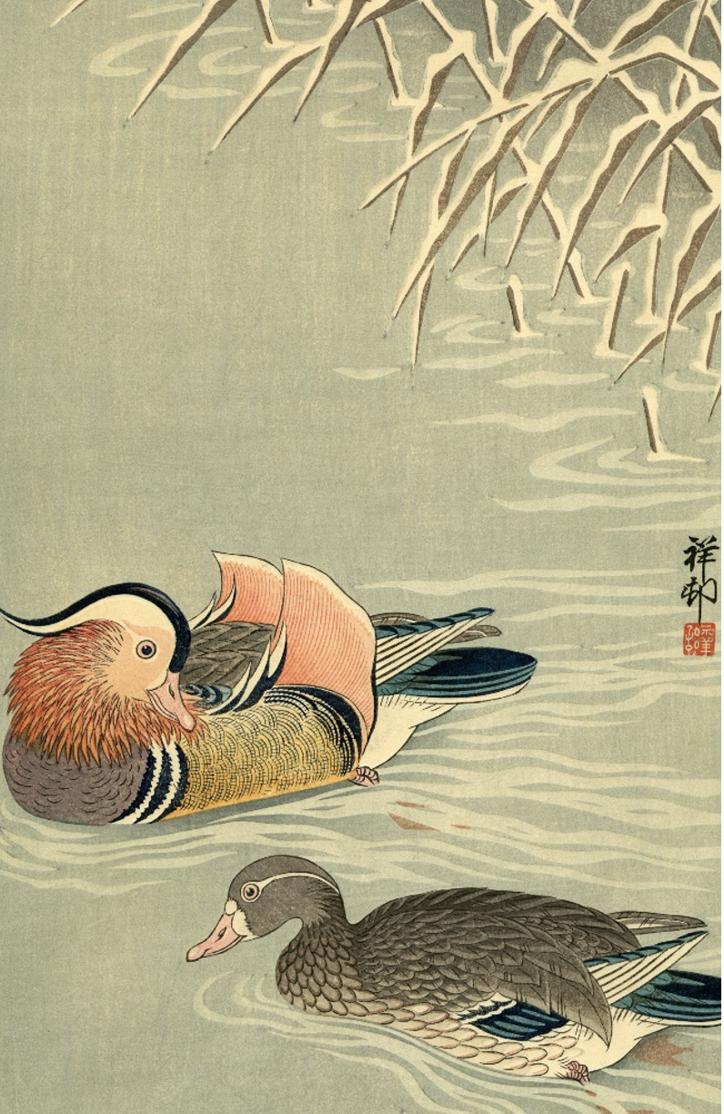 Koson Ohara, Mandarin Ducks and Snow