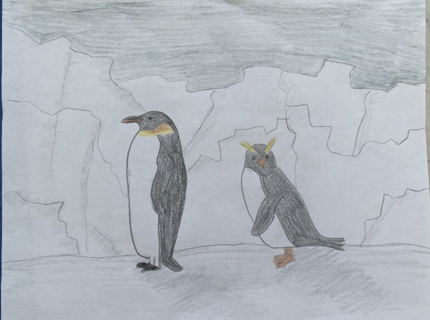 drawing of penguins in pencils