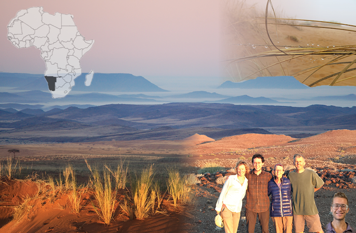 Collage of Africa map, Namib Sand Sea, bunchgrass, and researchers