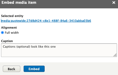 The embed media dialog box showing a link to the media record and a caption text field