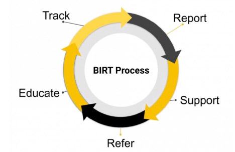 BIRT process: report, support, refer, educate, track