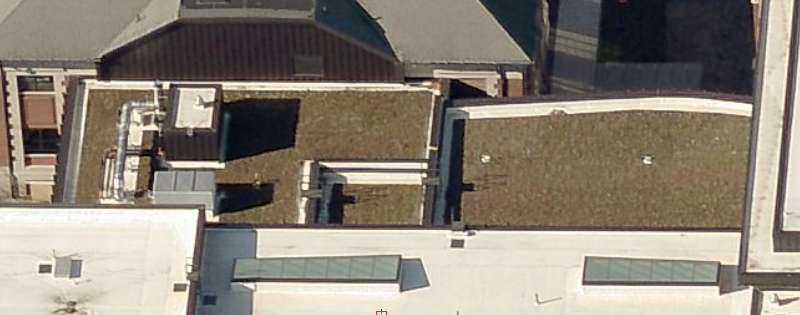 Humanities and Social Studies Center green roof