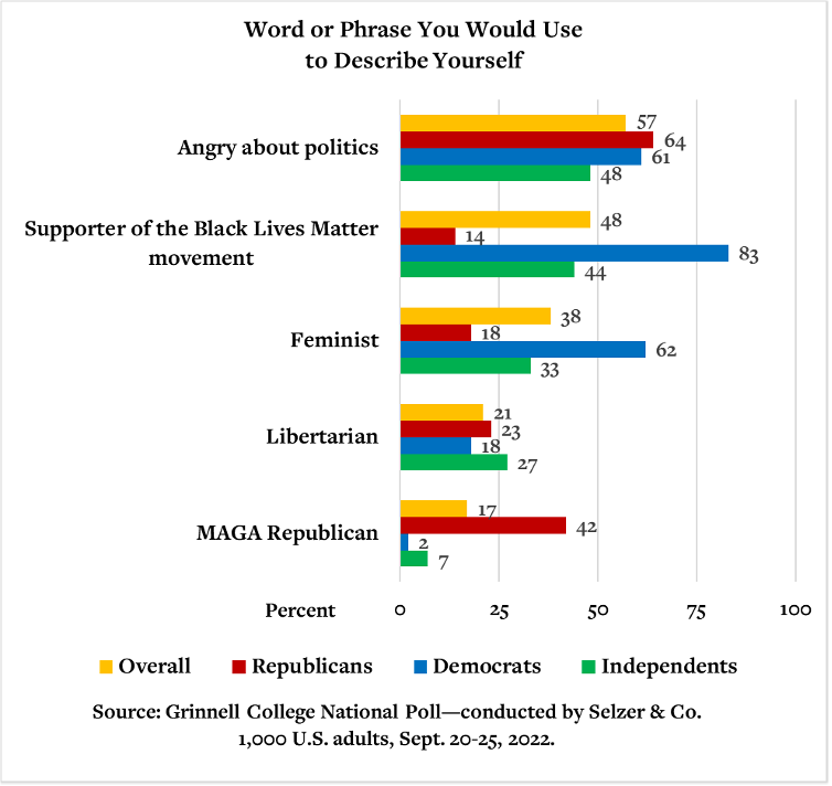 Graph showing how respondents describe themselves, such as "angry about politics," "supporter of the BLM movement," "feminist," "libertarian," and "MAGA Republican"