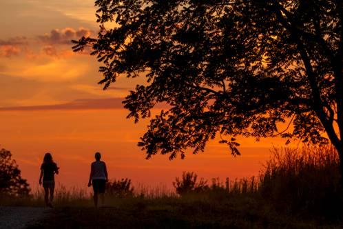 Two people walking in savanna at sunset