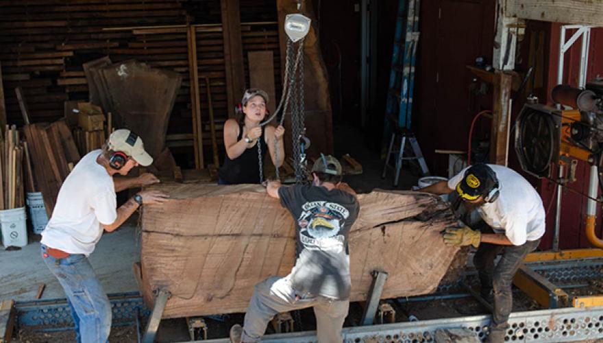 Isabella Kugel ’20 uses chains to move wood with a crew
