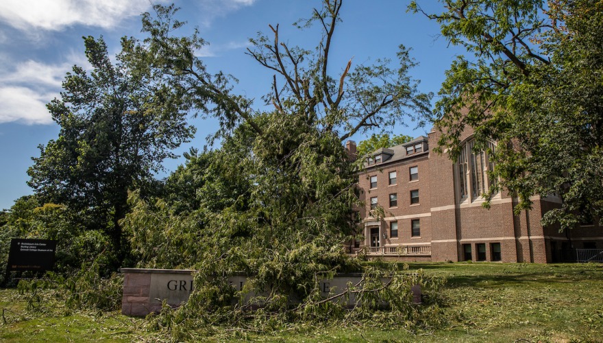 Tree damage from derecho storm near Main Hall
