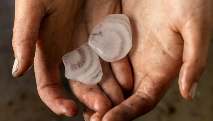 Two hailstone halves are held in cupped hands.The halves show rings of cloudy and clear ice.