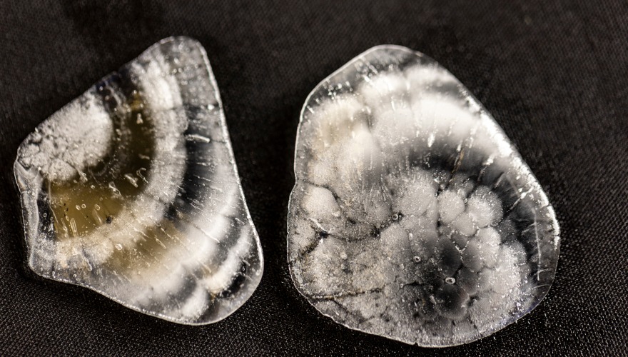 A close up photograph of hailstone halves. The cross sections show rings of clear and cloudy ice comprised of individual droplets.