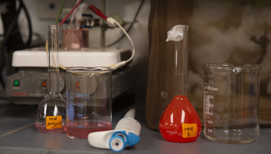Two flasks of red solution sit on a lab bench. They are labeled "red" and "red crayola."