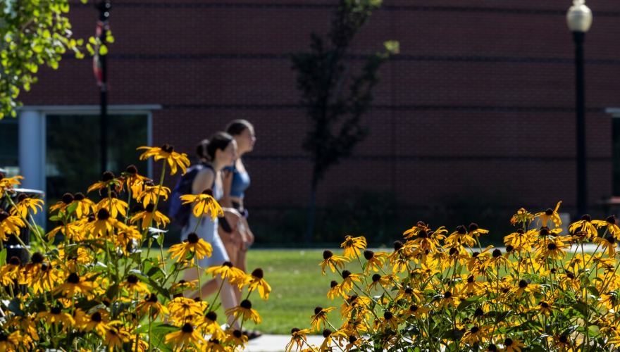 students walking with sunflowers in the frame