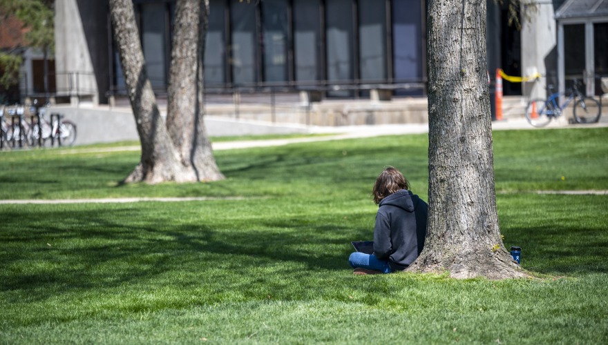 A student is hunched over on a tree trunk in front of the Student Wellness Center.