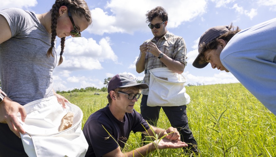 4 people in field with blue sky around 