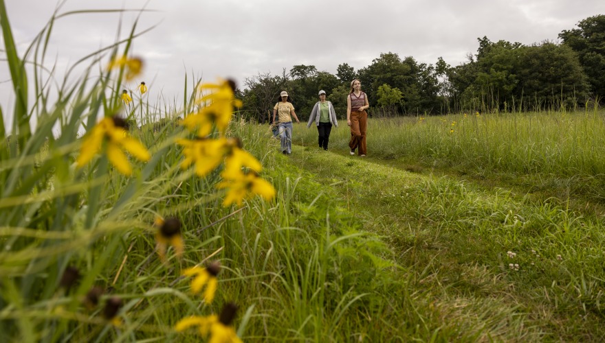 3 people walking in grass with yellow flowers