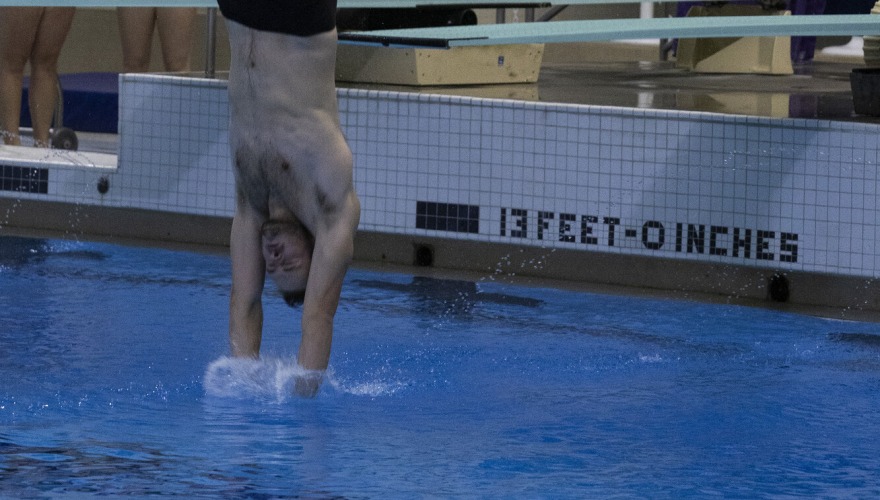 A diver entering the pool in a lean vertical position