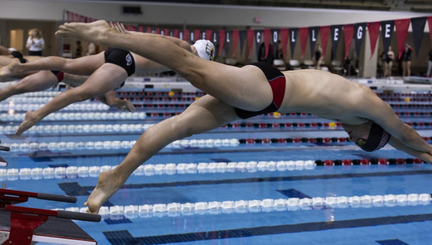 A line of swimmers diving off the starting blocks into the pool
