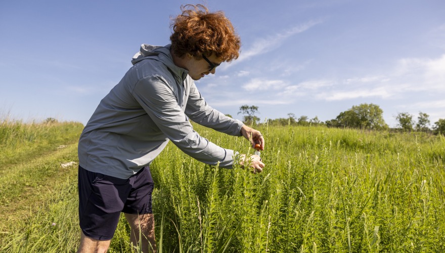 person in field