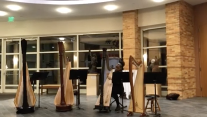 Avery Barnett on the harp (video still)