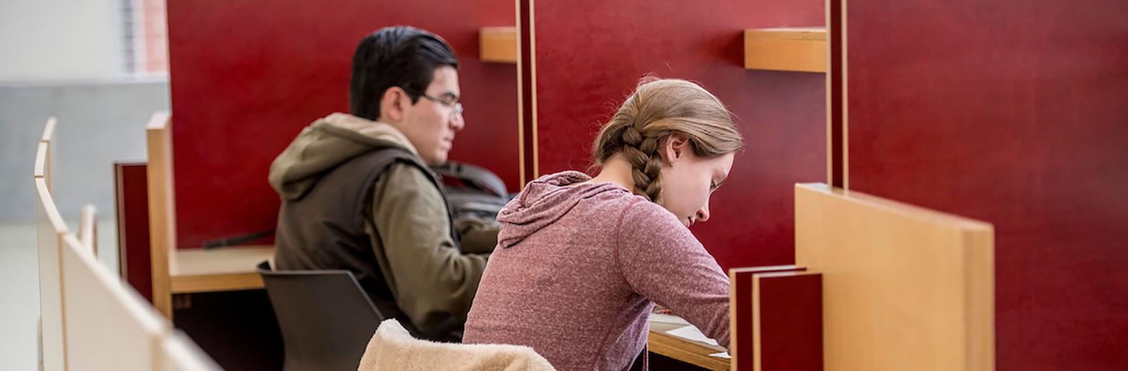 two students in study carrels