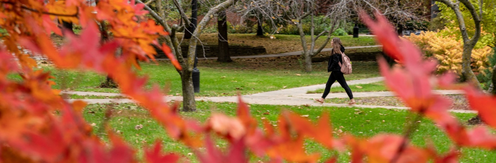 Students walk on campus with colorful fall leaves