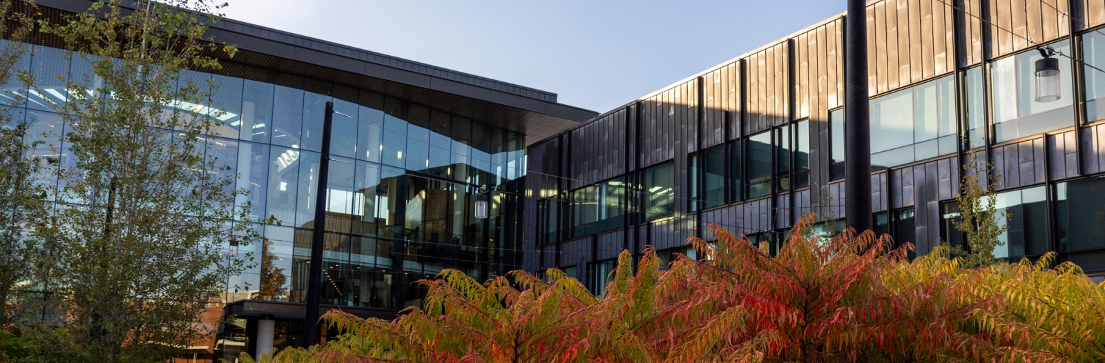Fall foliage with a backdrop of the Humanities and Social Studies Center under a wispy sky.