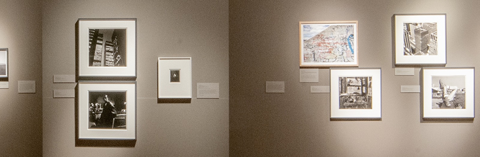 View of photographs in the Rhizomatic Intimacies exhibition.