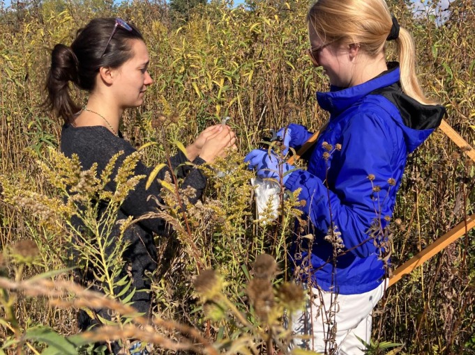 Two women in tall grass one wearing blue jacket with gloves