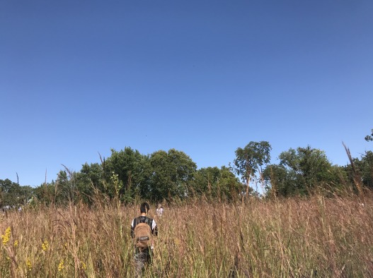 Person with backpack walking through a prairiewith grasses nearly as tall as she is