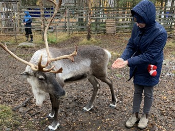 MJ feating a small reindeer