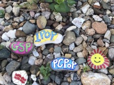5 brightly painted rocks with GSP, IPOP, PCPOP smiling flower or sun, and Grinnell's Laurel leaves.