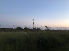 The prairie at sunset