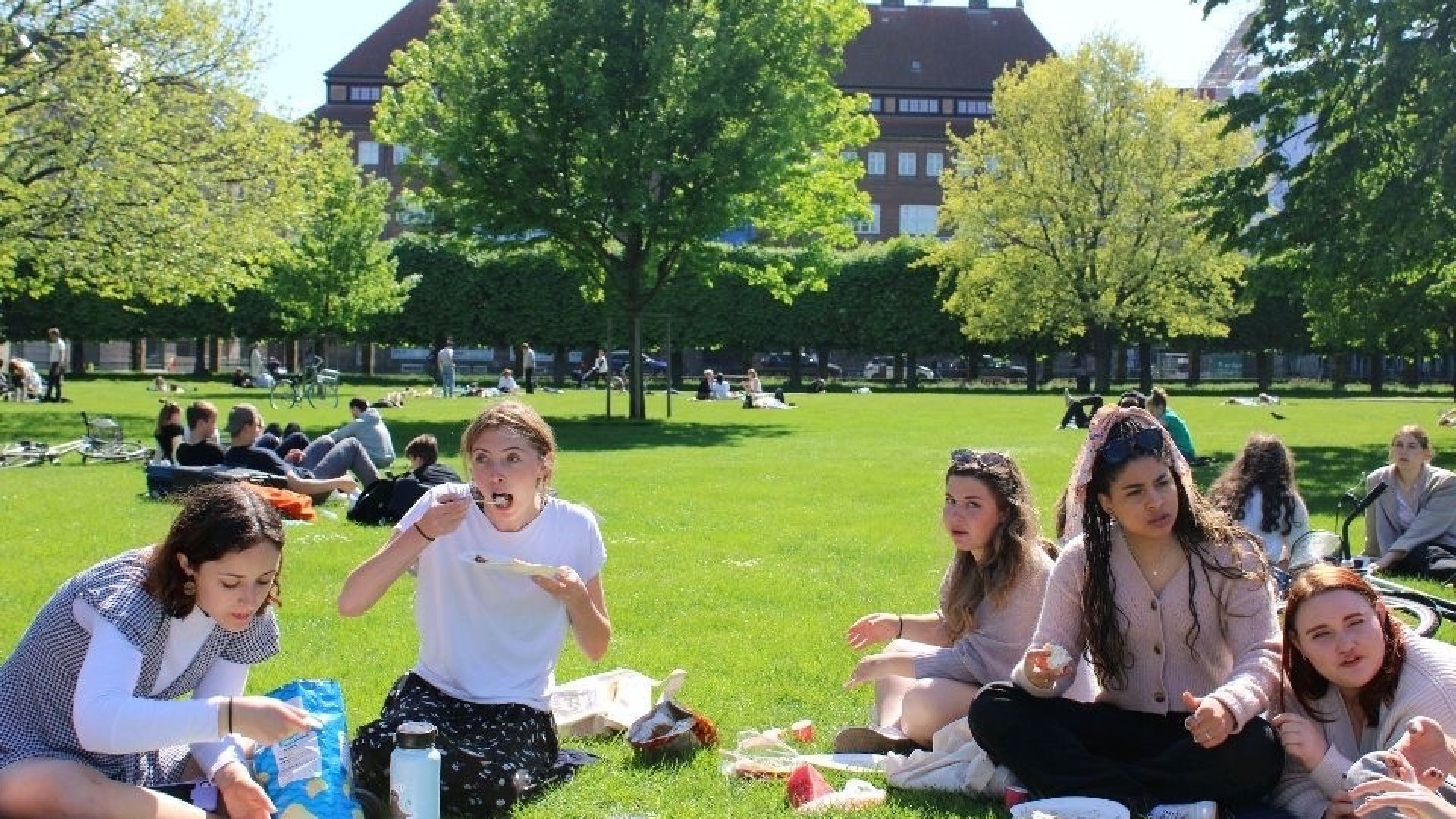 group of people sitting in a circle on the grass enjoying a picnic lunch