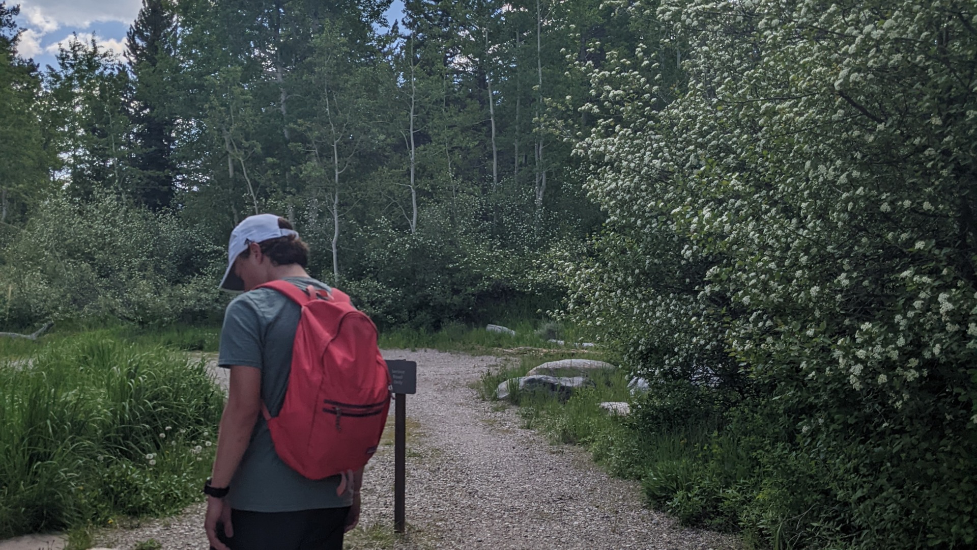 Me with red backpack, going down a wide trail path with evergreen trees in the background