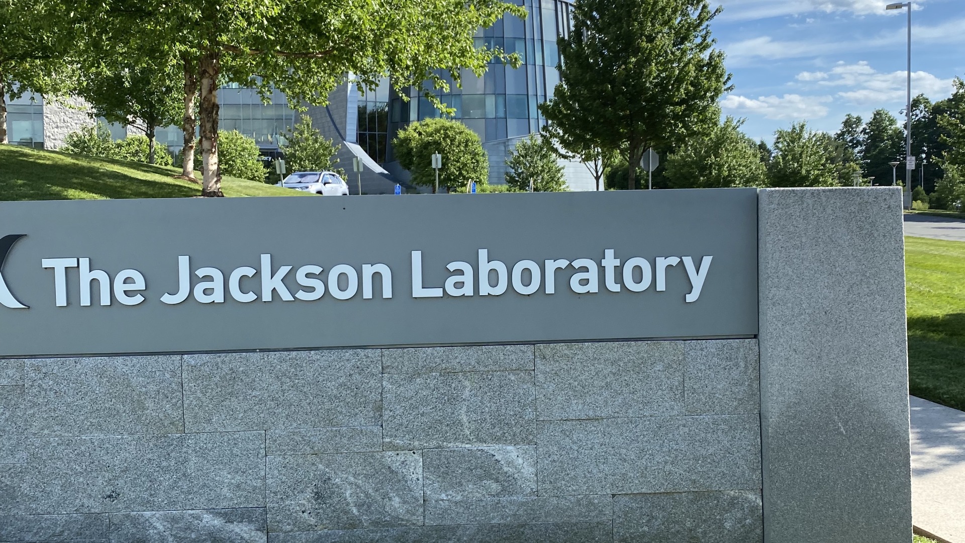 The Jackson Laboratory sign with green grass surrounding the sign.