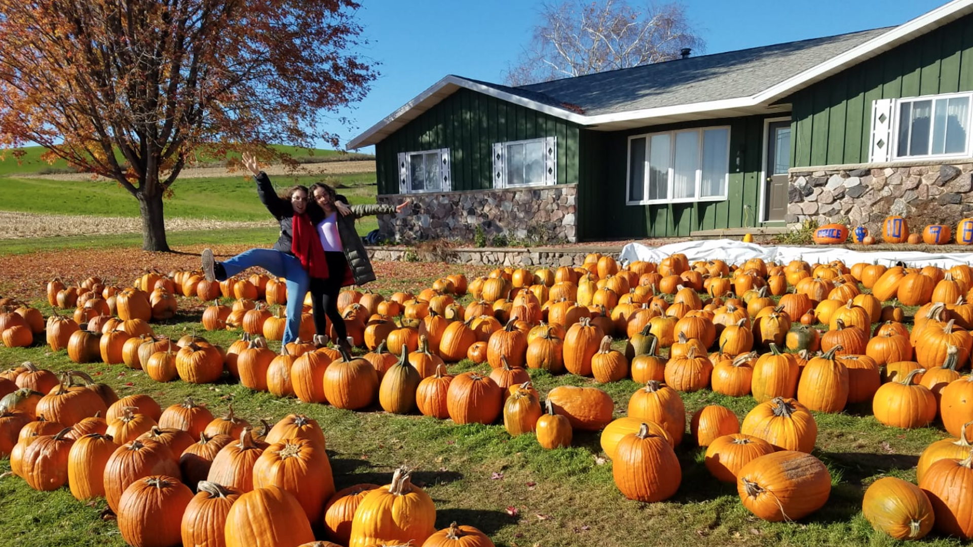 Me and my friend have our arms around each other and wave our hands in joy at the path of pumpkins cleared up for us.