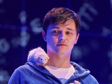 Scene from The Curious Incident of the Dog in the Night-time