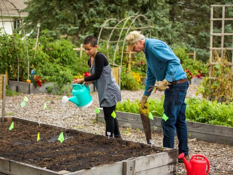 Student and Jon Andelson water plants in a raised bed in the garden