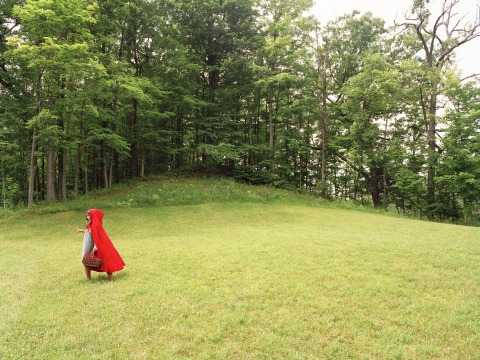 figure in red riding hood in a clearing by a forest