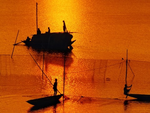 Boats in Bangladesh