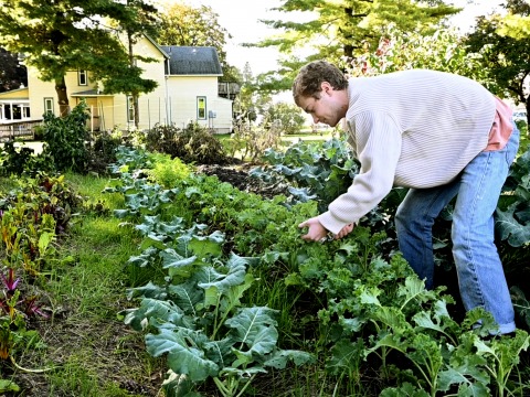 Tommy Hexter trimming crops in the Farm House garden