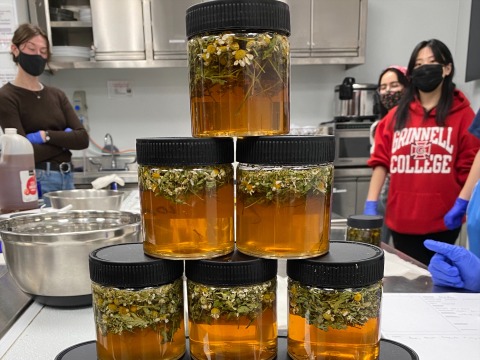 Jars of herbal formulas with students in background