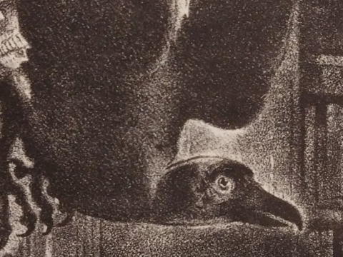 The Raven