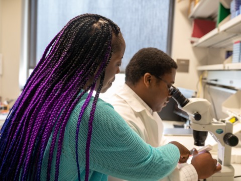 A woman with purple braids and a blue sweater looks over the shoulder of a student. She is pointing something out in the cells that the student is viewing through a microscope.